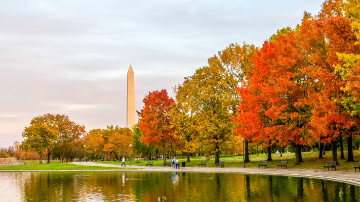 GettyImages-1131198401